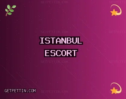 İstanbul Escort: Sarıyer Escort, Bakırköy Escort, Maltepe Escort
