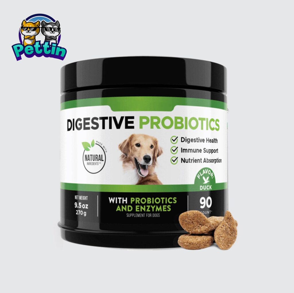 Image_for_Digestive_Probiotics