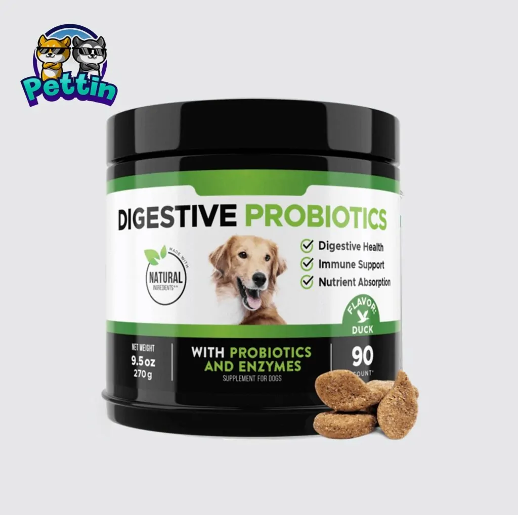 Dog Digestive Health